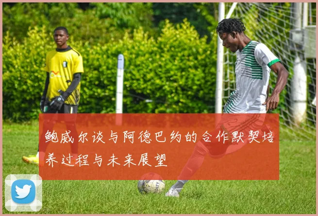 鲍威尔谈与阿德巴约的合作默契培养过程与未来展望