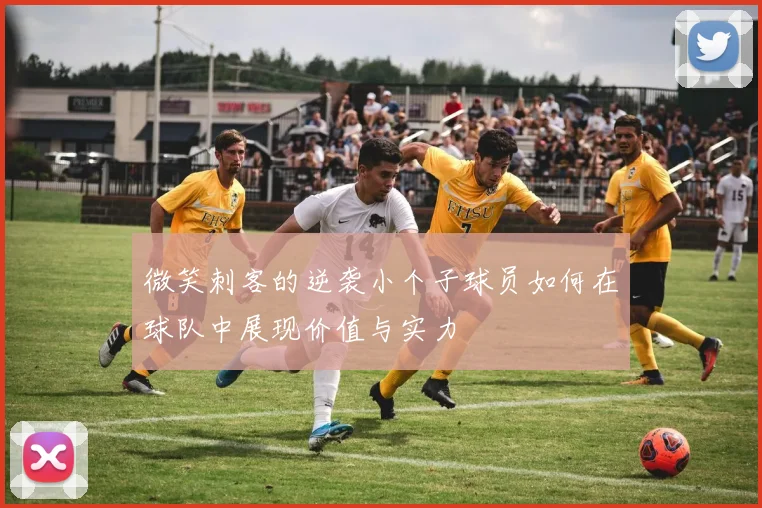 微笑刺客的逆袭小个子球员如何在球队中展现价值与实力