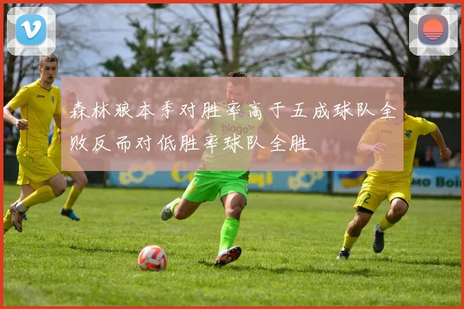 森林狼本季对胜率高于五成球队全败反而对低胜率球队全胜