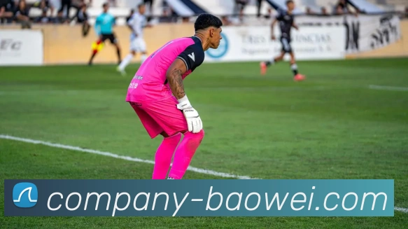 宝威体育服务体系