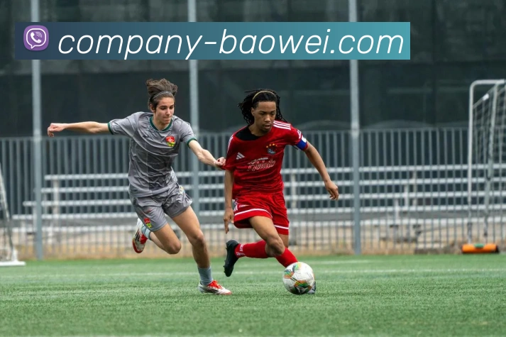 多媒体互动体验