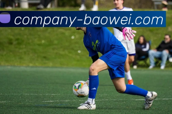 宝威体育APP 体育赛事宣传图